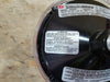 ELECTRARAY Orange Signal Lights 225XST