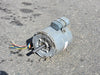 MAGNETEK 1/4 hp, 115/230 volts, 1100 rpm Electric Motor HF3JO21N