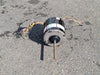 ROTOM 1/2 hp, 230 volts, 1/1075 rpm Fan Motor