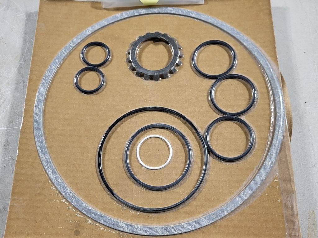 GOULDS Maintenance Seal Kit R196-MKM10 for 10" 3196MTX