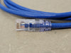 PANDUIT NetKey Cat 6 24AWG UTP Patch Cord 7ft Blue NK6PC7BUY (Box of 10)