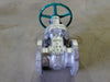 BERIC 3" Class 150 Wedge Gate Valve
