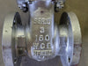 BERIC 3" Class 150 Wedge Gate Valve