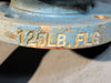 VAL-MATIC 3" Class 125 Vacuum Breaker w/ Air Release Valve 1803AVB.1/38
