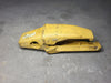 CATERPILLAR Bucket Adapter 6I-6404