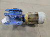MOTOVARIO 60:1 Ratio, Gear Reducer NMRV063 w/ 1.5 hp Electric Motor 