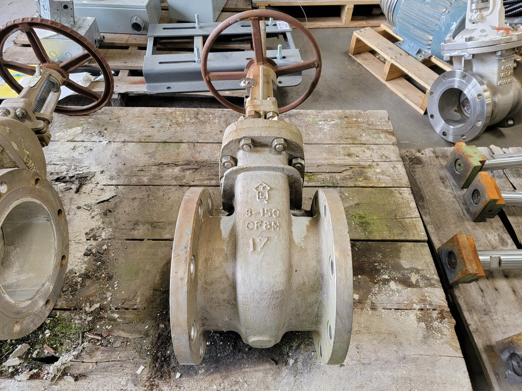 TLV 8", Class 150, Gate Valve, 