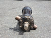Hydraulic Cylinder