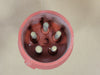 MENNEKES Pin & Sleeve Plug