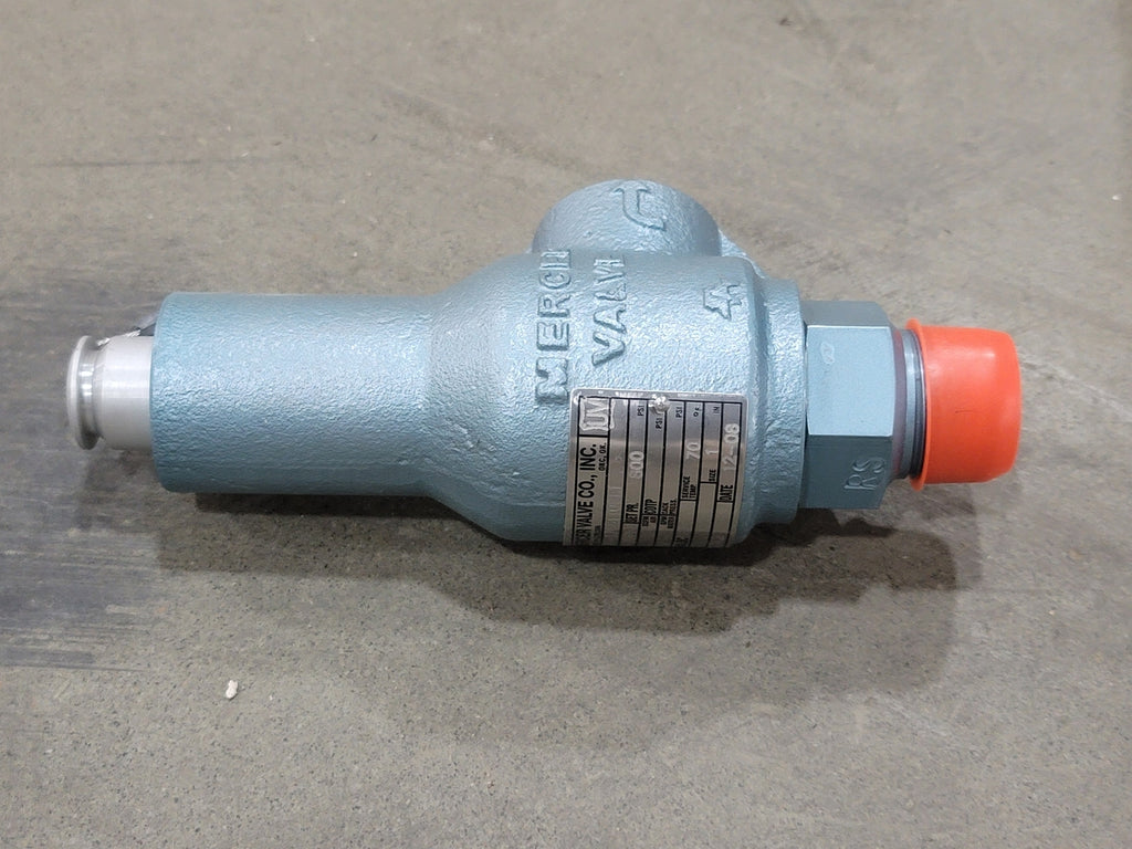 MERCER 1", Class 600, Pressure Relief Valve, B16.34