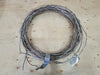 THERMON 208V Mineral Insulated Cable D/MIQ-10E2L-2S, 12/3 AWG, 2 Conductors