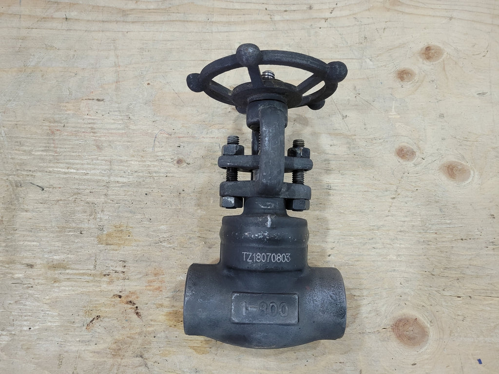 1", Class 800, Gate Valve, API 602 F1800T24