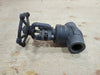 1", Class 800, Gate Valve, API 602 F1800T24