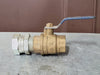 NEWLINE 1-1/4" 600 WOG Ball Valve w/ Coupler