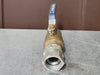 NEWLINE 1-1/4" 600 WOG Ball Valve w/ Coupler