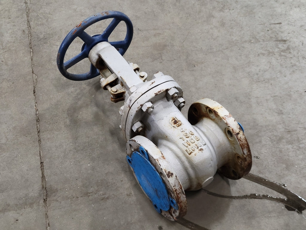 FORTUNE 4" Class 150 Gate Valve API 600