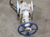 FORTUNE 4" Class 150 Gate Valve API 600