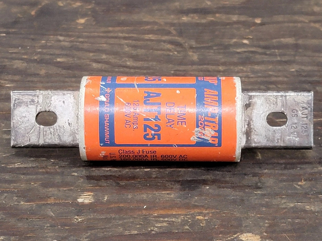 GOULD 125 Amp Class J Time Delay Fuse AJT125