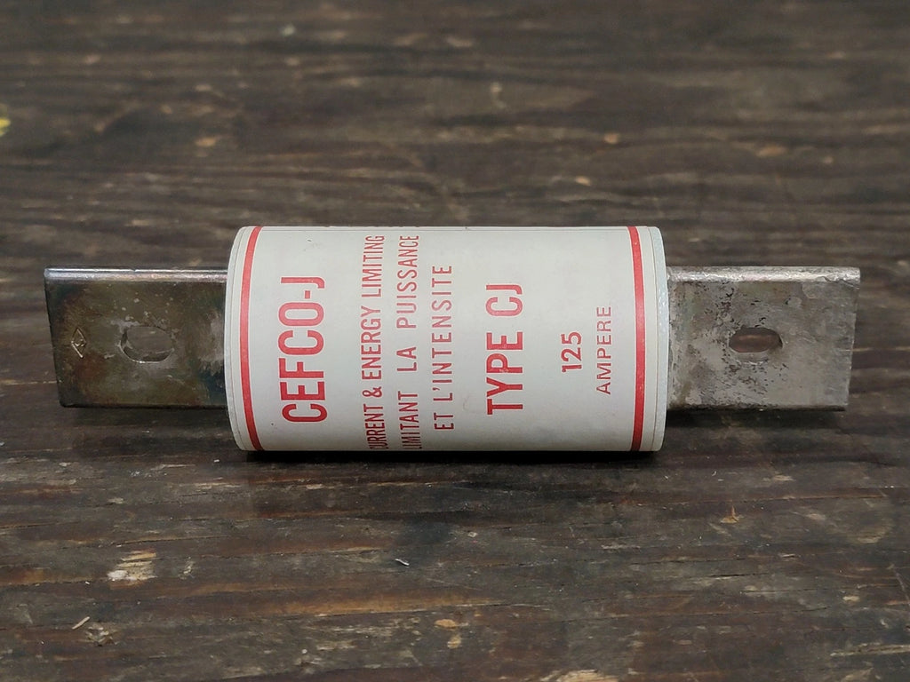 SACEMI 125 Amp Class J Current & Energy Limiting Fuse CEFCO-J