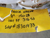 4", Class 150, Check Valve, B16.34