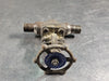DSI VALVES 3/4", Class 800, Globe Valve, B16.34 
