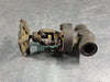 FLOWSERVE 3/4", Class 800, Globe Valve, B16.34