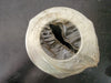 PTI TECHNOLOGIES INC. Hydraulic Filter Element PG-080-GH