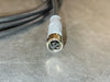 4 Pin Control Cable Industrial Automation 43-13695