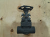 NEWCO 3/4", Class 800, Gate Valve, B16.34