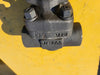 CHAODA VALVES GROUP 3/4" Class 800 Globe Valve API 602