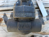 BERIC 3/4" Class 800 Globe Valve API 602