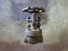 BONNEY FORGE 1/2", Class 800, Gate Valve, B16.34