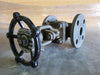 VIZA 1" Class 150 Globe Valve (Standard)