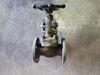 VIZA 1" Class 150 Globe Valve (Standard)