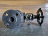 VIZA 1" Class 150 Globe Valve (Standard)