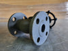 VIZA 1" Class 150 Globe Valve (Standard)