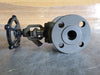 VIZA 1" Class 150 Globe Valve (Standard)