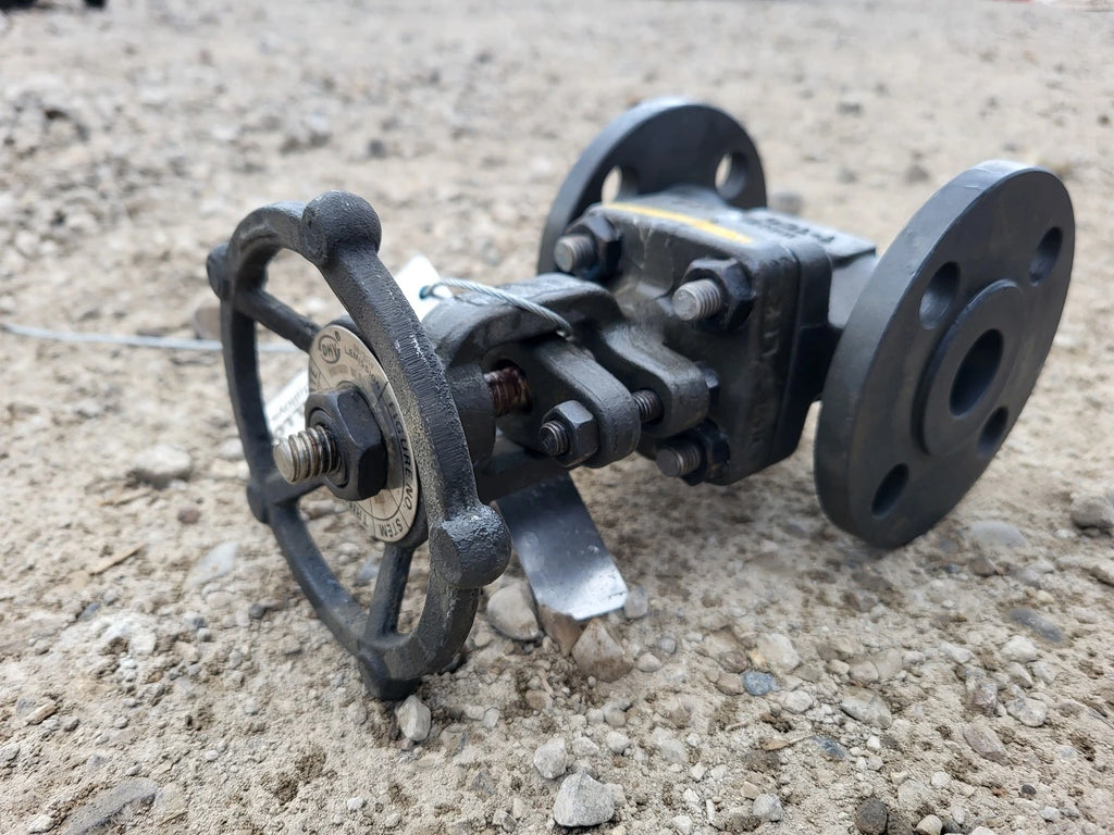 DHV 1" Class 150 Gate Valve API 602