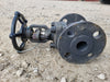 CHAODA VALVES GROUP 1" Class 150 Gate Valve API 602