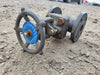 NEWCO 1" Class 150 Globe Valve B16.34