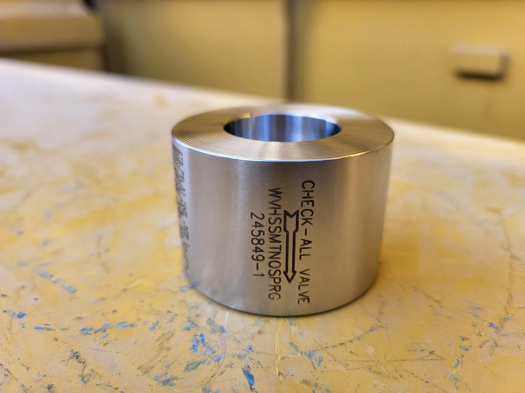 CHECK-ALL VALVE 1" Class 150 Check Valve B16.34