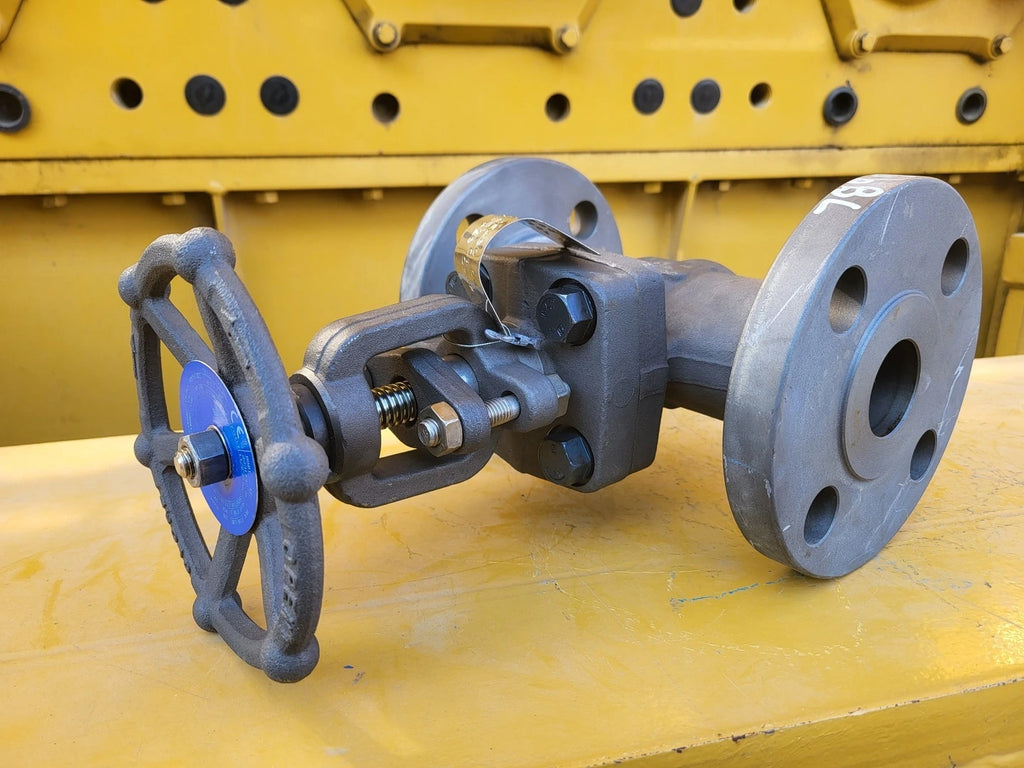 DSI 1-1/2" Class 300 Globe Valve B16.34