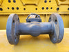 DSI 1-1/2" Class 300 Globe Valve B16.34