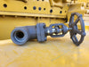 DOUGLAS CHERO 1-1/2" Class 800 Globe Valve API 624