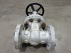 DHV 3" Class 300 Gate Valve B16.34