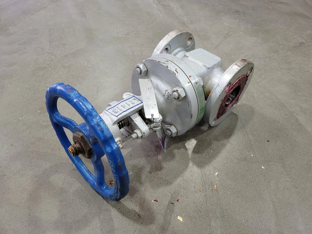 DSI VALVES 2" Class 150 Gate Valve B16.34