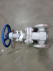 DSI VALVES 2" Class 150 Gate Valve B16.34