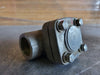 DHV 1" Class 800 Check Valve API 602