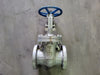 DSI 6" Class 300 Gate Valve B16.34