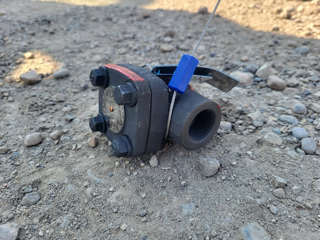 CHAODA VALVES GROUP 3/4" Class 800 Check Valve API 602
